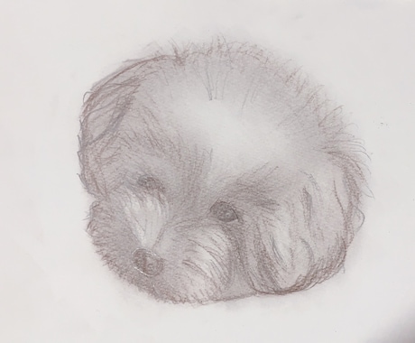 ペットの写真鉛筆画で描きます 大事なペットの似顔絵、リアルに鉛筆画で色紙に描きます イメージ1