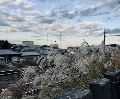 どんな内容でもお聞きしアドバイスができます どんなことでもぜひ、気軽に話してください！ イメージ2