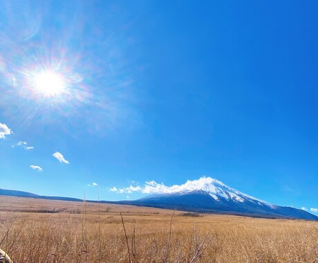 欲しい素材がありましたら提供致します 自然、動物等を主体に撮っております。 イメージ2