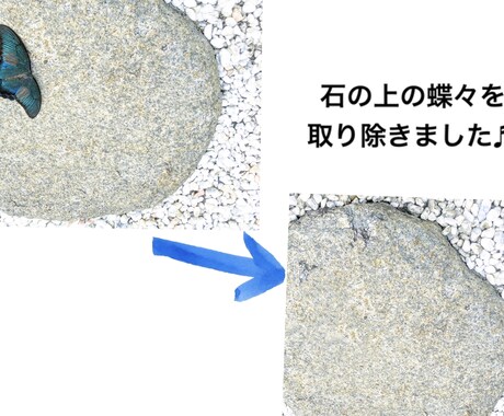 大切な写真を修正(一部手直しなど)します 素敵な写真をより素敵に!写真加工ならなんでもお任せください! イメージ2