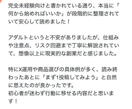 アダルトアフィリエイトの始め方教えます ブルーオーシャンのアダルトアフィリエイトの稼ぎ方教えます！ イメージ2