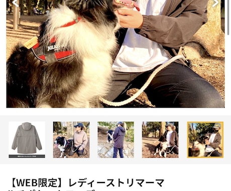 犬のプロがペットビジネスの成功をサポートします 監修、イメージ写真の撮影、PR、新規サービスの相談など イメージ2