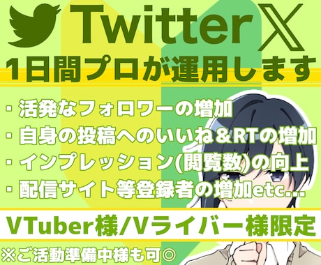 VTuber専用！プロがTwitterを運用します お試しで１日～ご利用◎Vライバー様も◎専属プロがXを運営！ イメージ1
