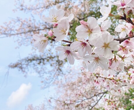 夫婦関係や子育てについて何でも聞きます 特に夫に対するイライラや愚痴には共感できること多いです。 イメージ1