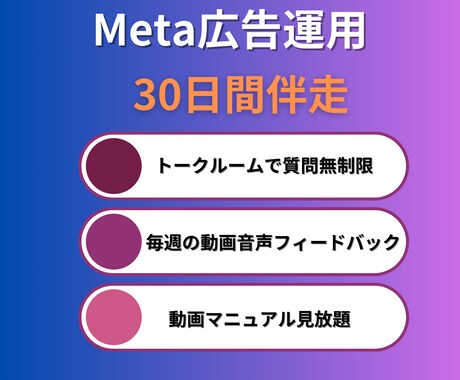 Meta広告運用を伴走サポートします 自社・ご自身で運用スキルを身につけたい方にプロが伴走します イメージ2