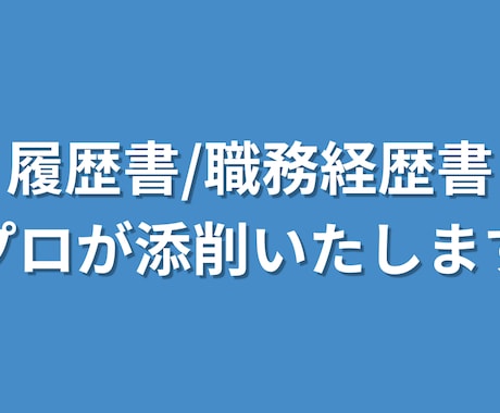 履歴書・職務経歴書 作成／添削サポートサービスます イメージ1