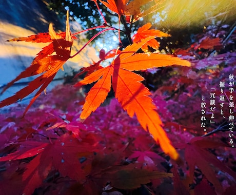 出版経験ありの現役詩人があなたの写真に詩を書きます あなたの写真の魅力を現役の詩人が詩で引き出します イメージ2