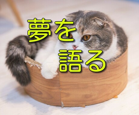 貴方の夢を聴きます 人から笑われるような夢物語、楽しく聴きますよ イメージ1