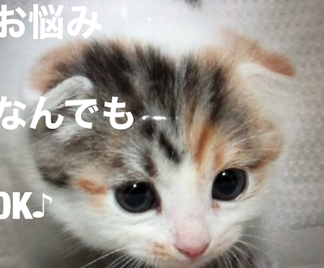 看護師業務又はそれ以外のお悩みを一緒に考えます 現役看護師や看護師を目指している方！患者様お悩みお伺いします イメージ1