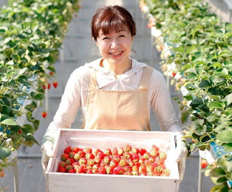 QS肥料を施用したイチゴ栽培のコンサルが出来ます 二度と困らない…栽培マニュアルを作成するサポートを致します! イメージ1