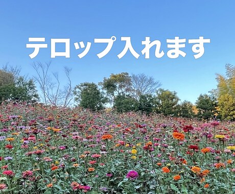 テロップ入れ&見やすくカットします 動画を見やすくカット!コメントテロップを入れます イメージ1