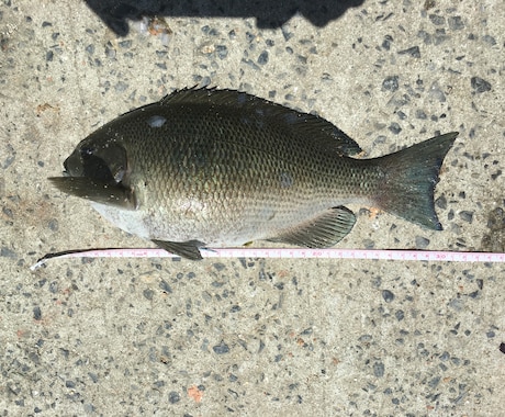 穴場の釣り情報をお教えします 混雑の少ない休日の穴場釣り場とそこでの釣り方情報 イメージ1