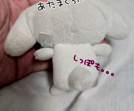 ぬいぐるみ手洗いします 手あか汚れなどをすっきりピカピカに！ イメージ2