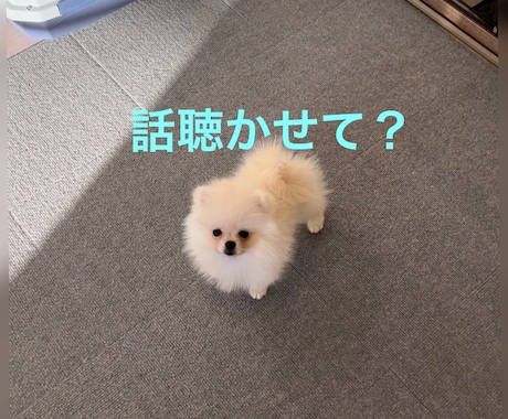 不安の整理レッスン✨感情を吐き出す方法を学べます リピーター様限定！感情を吐き出して不安をパワーに変えよう✨ イメージ2