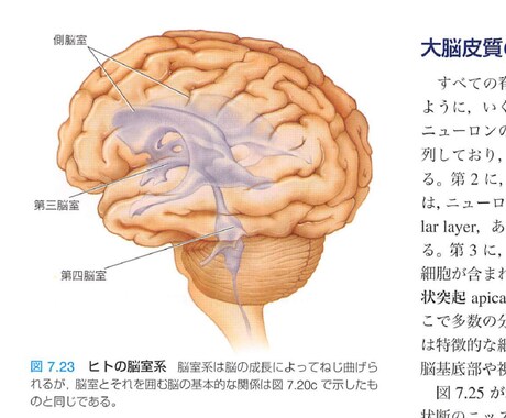 専門知識に基づいて分かりやすい記事を書きます 博士（理学）。現役研究職です。 イメージ1