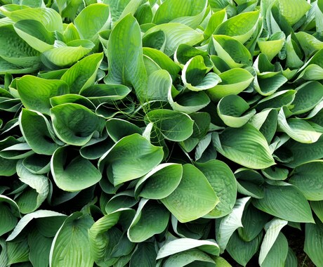 商品撮影、店内撮影、人物撮影などなんでも撮影します ご希望に合った写真！イメージに合った写真を！ご相談下さい！ イメージ2