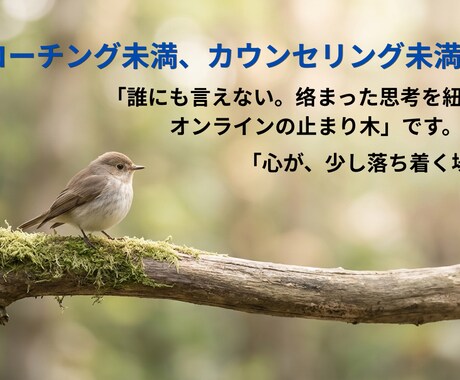 ゆっくりと、絡まった思考と心を解き解します コーチング、カウンセリング未満、でも「話すと頭と心が整う」 イメージ1