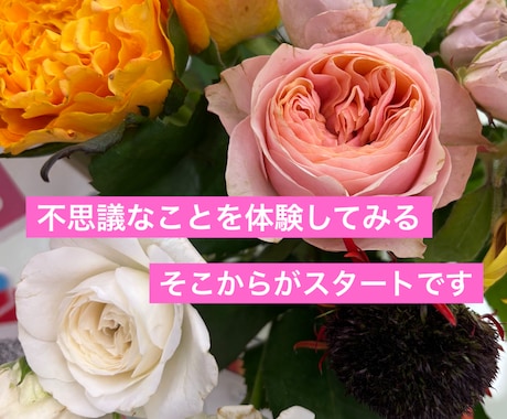 家族もペットも、遠隔ヒーリングでほっこり癒します みんなで受けられる癒しのエネルギー30分。5名様まで。 イメージ2
