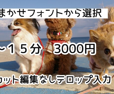 YouTube用などの動画に簡易テロップ入れます ★カット編集なし☆シンプルプラン☆ イメージ1