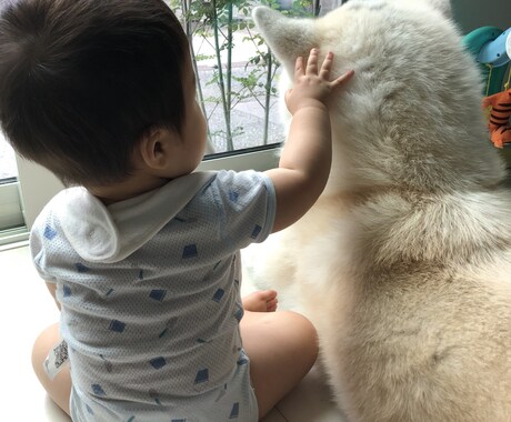 犬と赤ちゃんの暮らしの現実教えます 犬と赤ちゃんとの暮らしって実際どう？大変？幸せ？ イメージ1