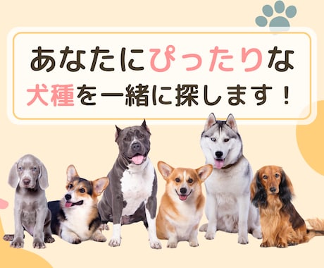 犬を飼いたいあなたの犬種選びを手伝います あなたの性格やライフスタイルに合った犬種をご提案します イメージ1