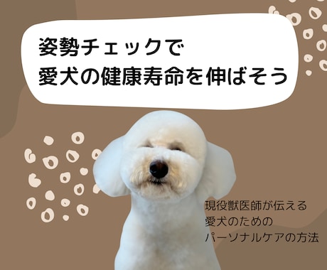 愛犬の姿勢から健康状態をチェックします 年を重ねる愛犬を支えるためにケアと準備のすべて イメージ1