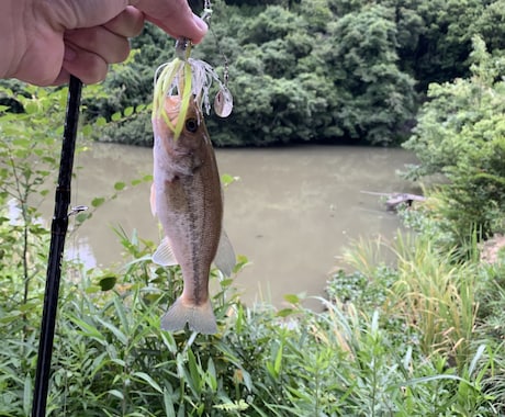 和歌山県御坊市でバス釣りポイント教えます ネットには載っていない和歌山でバス釣りができる野池教えます イメージ2