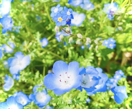 心身をベストコンディションへと根本的に整えます 究極の心身リセット！「生まれたての自分」を現像します✨️ イメージ2