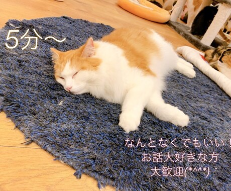 5分〜貴方の心の拠り所になります 話し相手が欲しい！愚痴・悩み聞いて欲しい人向け イメージ1