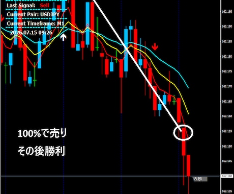 裁量少しバイナリーサインツール1分でございます 根拠のある順張りサインです画像が全てです良くご覧ください イメージ2