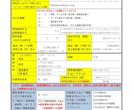 小規模持続化補助金の申請書の作成支援します ポイントを押さえた高採択率の経営計画書の作成支援いたします イメージ2