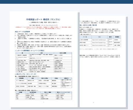 事業判断に使える市場調査レポートを作成します 出典を確認し、比較表と考察まで。元SEの調査資料 イメージ2