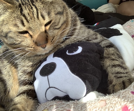 1人で抱え込まないで。他人だからこそ何でも言えます 僕とあなたは、赤の他人だからこそ、何を話しても大丈夫です イメージ1