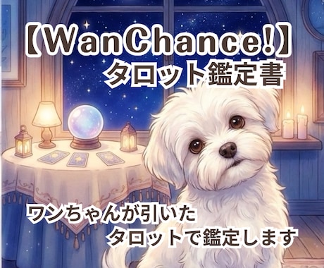 ワンちゃんが引いたタロットで鑑定します わんタロとパパの【WanChance!タロット鑑定書】 イメージ1