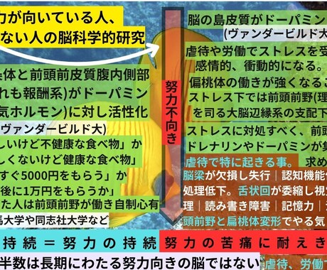 努力神話を本格分析で解体し弱者が自責しない様にます 弱者が自責しないための科学的・多角的視点を詳しく記載 イメージ2