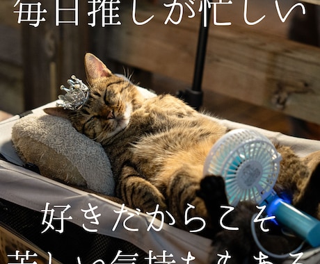 有名人・アイドル等、推し活に関するお話お聞きします イメージ1
