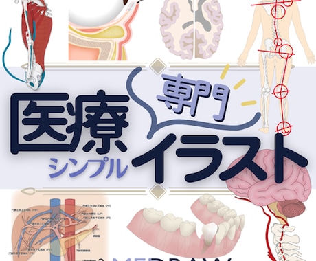 医療専門イラスト◆現役の医療従事者が描きます 学会、論文、資料、書籍などにご使用いただるシンプルなイラスト イメージ1