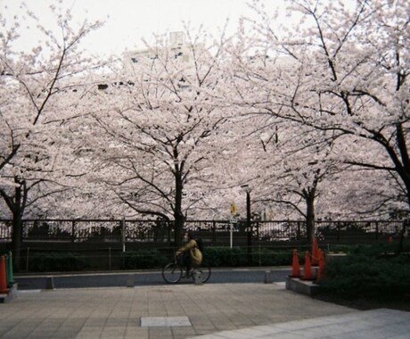 あなたの日常をどんな事でも受け止めます 日常の楽しいことから苦しいことまで、少しでも生活に寄り添える イメージ1