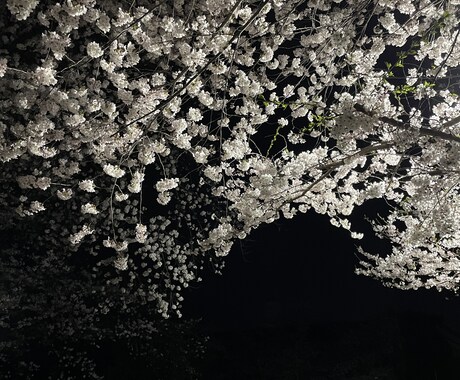皆様のお悩み占います 皆様の幸せなお助けをいたします一人一人に寄り添った占いを イメージ1