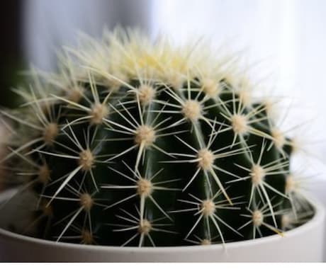 寂しいあなた、お話聞きます 若者から高齢者まで話し相手が欲しい方、お電話ください イメージ1