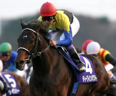 8月17、18日の競馬予想を提供します データとパドックを駆使した究極の軸馬を公開！ イメージ1