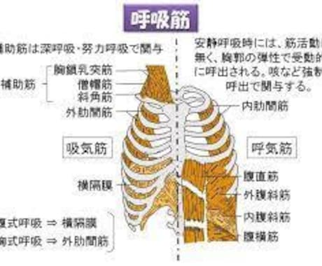 万病を癒すやくし呼吸療法をご指導します 呼吸が変われば、心・身体・動き・生活・運命が変わる イメージ1