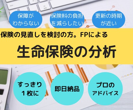 即日納品！FPがご加入中の生命保険を分析します プロがスッキリわかりやすく1枚にまとめます。アドバイス付き。 イメージ1
