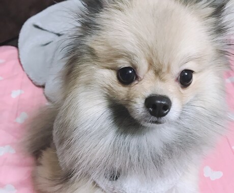 愚痴相談、ちょっと話したい等聞きます 日常で誰かに愚痴や相談誰かとちょっと話したい時に イメージ2