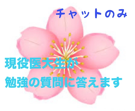 英検1級取得の現役医大生が勉強の質問に答えます 回数無制限!チャットにて受験相談などに個別に対応します。 イメージ1