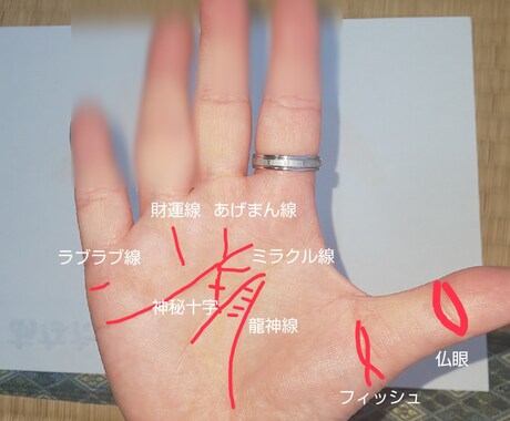 手相初心者歓迎優しくわかるメッセージ鑑定をします 1000円両手の手相に線を書き込み イメージ2