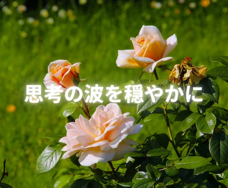 心の整頓タロットで、忙しい思考の解放を手伝います ♬心が軽くなる３０分 ♬思考を整えるチャットタロット イメージ2