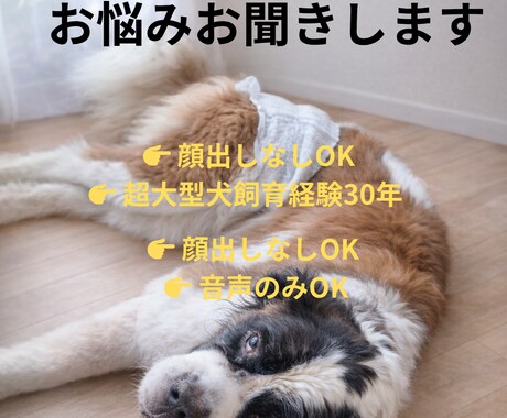 老犬介護のお悩み相談に乗ります 大型犬・超大型犬介護経験あります イメージ1