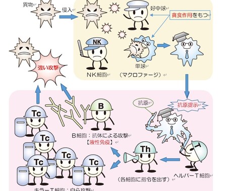看護学生さん必見！完全個別サポートを行います 国家試験対策・実習対策、なんでもご相談ください⭐️ イメージ2