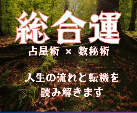占星術×数秘術｜人生の流れと転機を読み解きます ― 今のあなたに必要な「時の意味」を知る鑑定 ― イメージ1